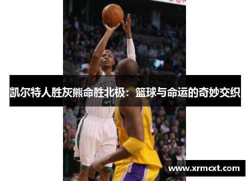 凯尔特人胜灰熊命胜北极：篮球与命运的奇妙交织